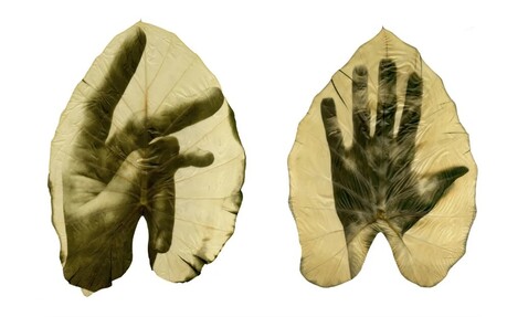 thumbimg